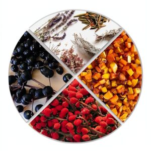 Univ Of Minnesota Press Indigenous Food Kindle Book English-0