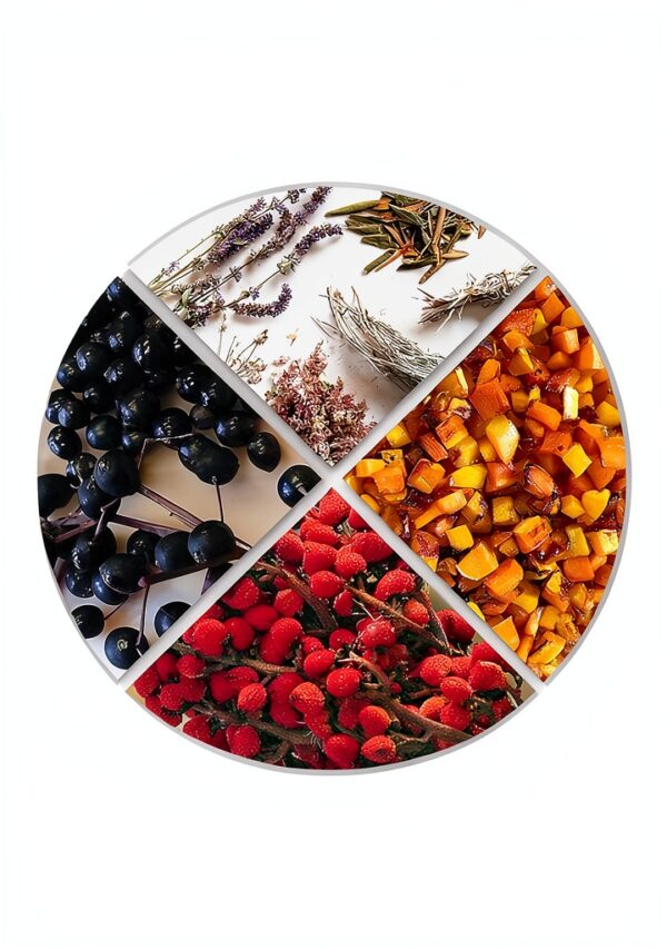 Univ Of Minnesota Press Indigenous Food Kindle Book English-0