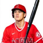 Calvintir Books Baseball Biography eBook English Language-0