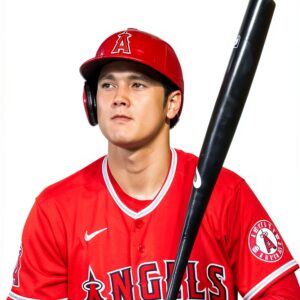 Calvintir Books Baseball Biography eBook English Language-0